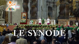 Le Synode