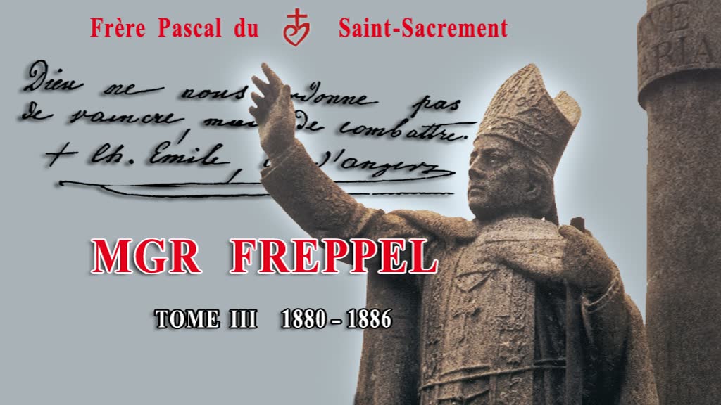 Mgr Freppel, 1880 - 1886