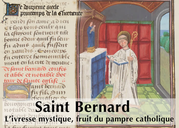Saint Bernard : l’ivresse mystique, fruit du pampre catholique.