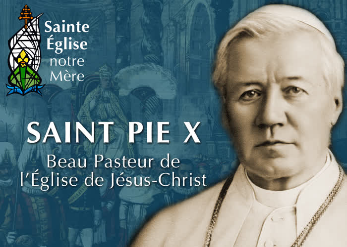 Montage : Saint Pie X, Beau Pasteur de l’Église de Jésus-Christ.