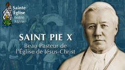 Montage : Saint Pie X, Beau Pasteur de l’Église de Jésus-Christ.